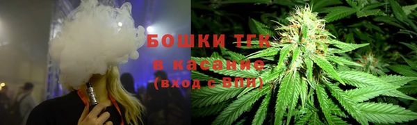 экстази Бородино