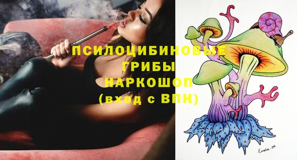 экстази Бородино