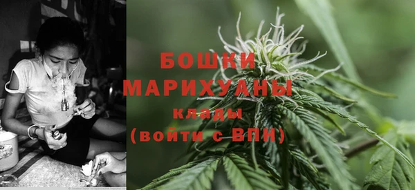 экстази Бородино